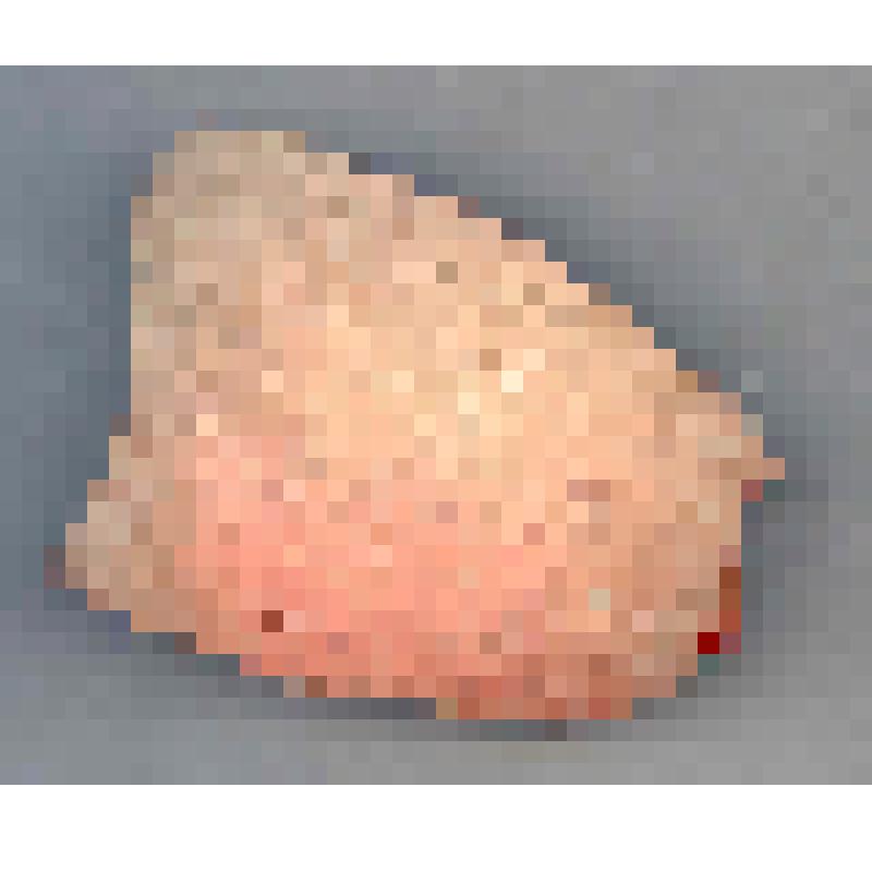 Сосуд (фрагмент)