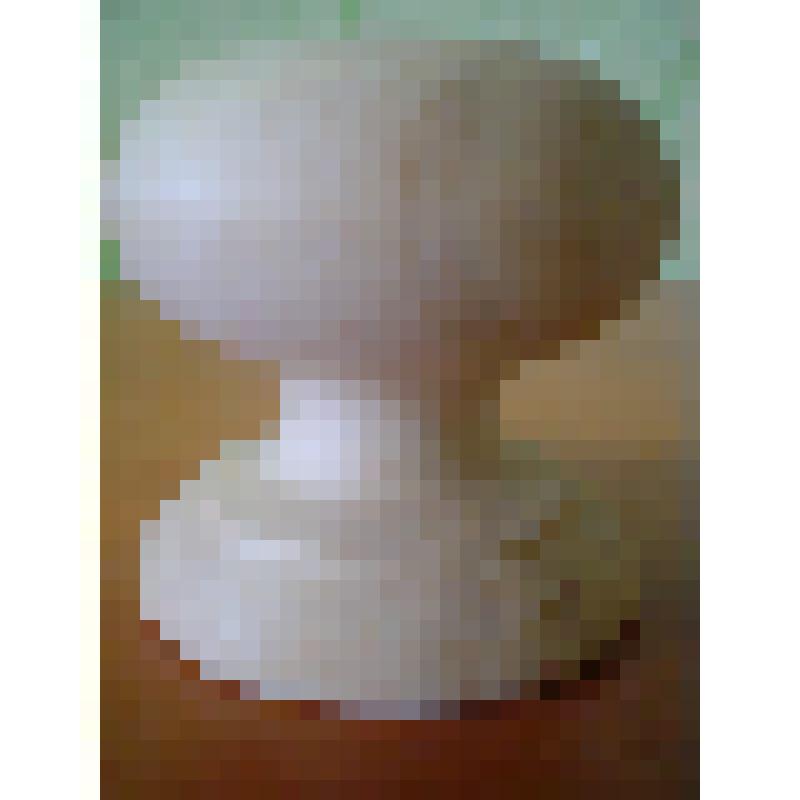 Ручка деревянная