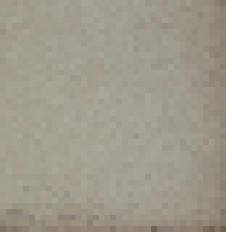 Портрет Ганса Макарта