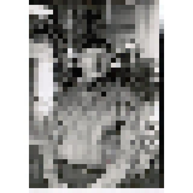 Фотография. Кобин Александр Петрович -  воин 780 СП, 214-й СД