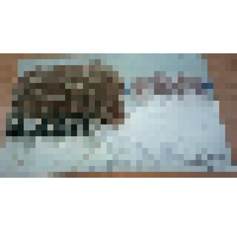 Акварель. Л.Крохин «За околицей»