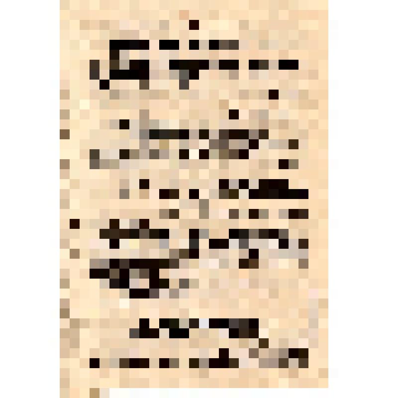 Листовка-пропуск. Издание ГлавПУРККА. MAGYARORSZAG... (на венг. яз.)