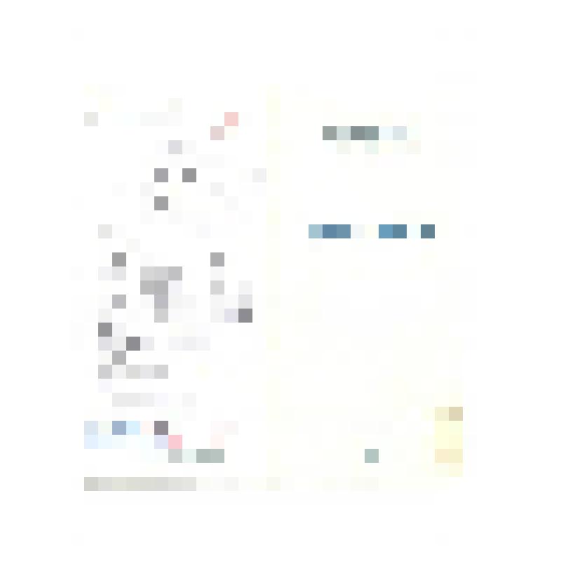 Программа спектакля Государственного русского драматического театра им. В. Г. Короленко. Физики