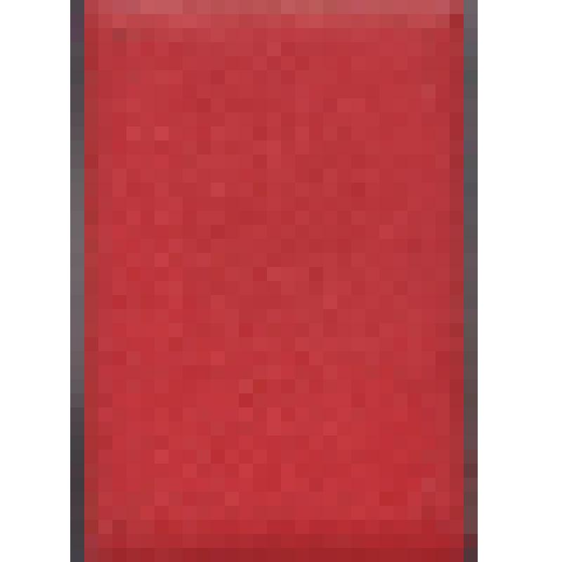 Грамота почетная № 4365 Президиума Верховного Совета УАССР Быкову Аркадию Ивановичу, председателю исполкома Воткинского городского Совета депутатов трудящихся, в ознаменование XXV-ой годовщины автономии Удмуртии, за успешную работу в области промышленност