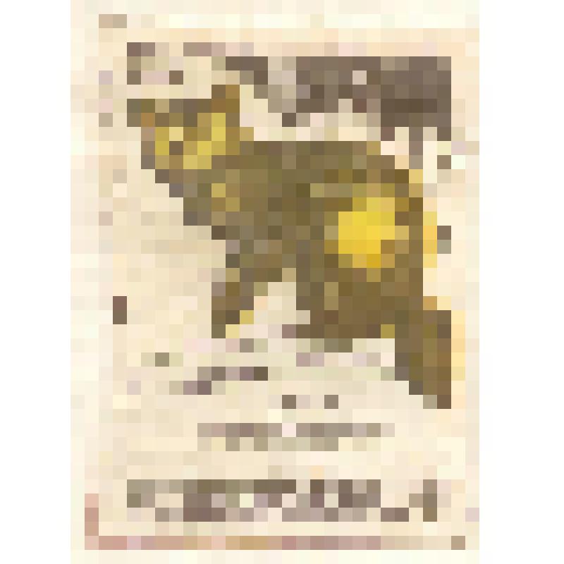 Коллекция спичечных этикеток Павла Немцова. "Соболь"