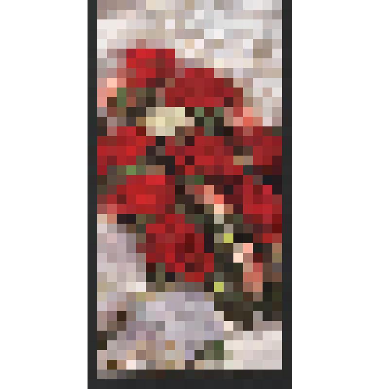 Поздравление семьи Петровых - Ольги Михайловны и Михаила Богомоловой З. А. с Днём рождения