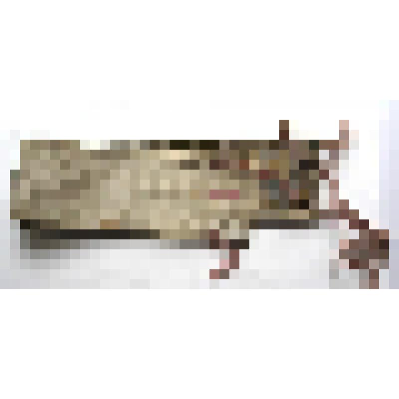Пояс