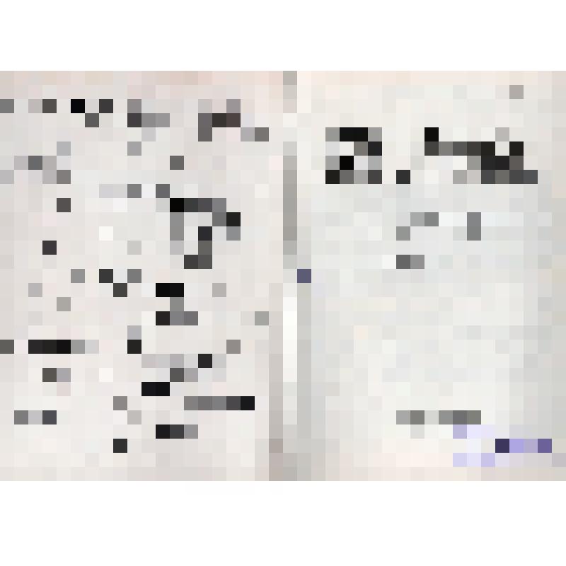 Книга. Ред. – В.Жигайло  «Школа военных инженеров».
СССР, Москва, Воениздат, 1980 г., 230 с