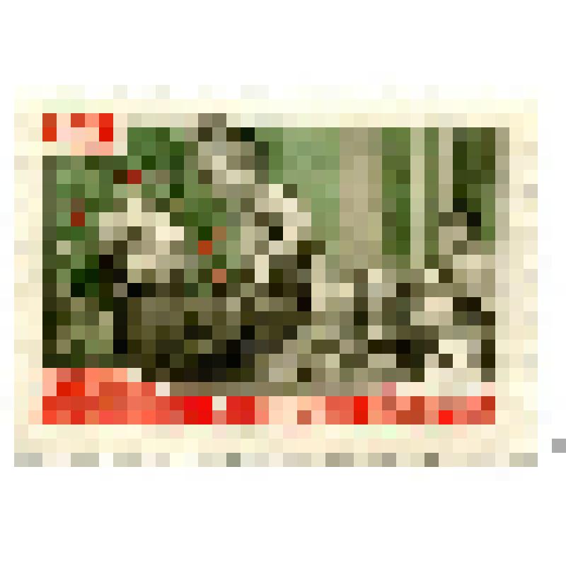 Почтовая марка 20 к. В.И. Ленин среди детей