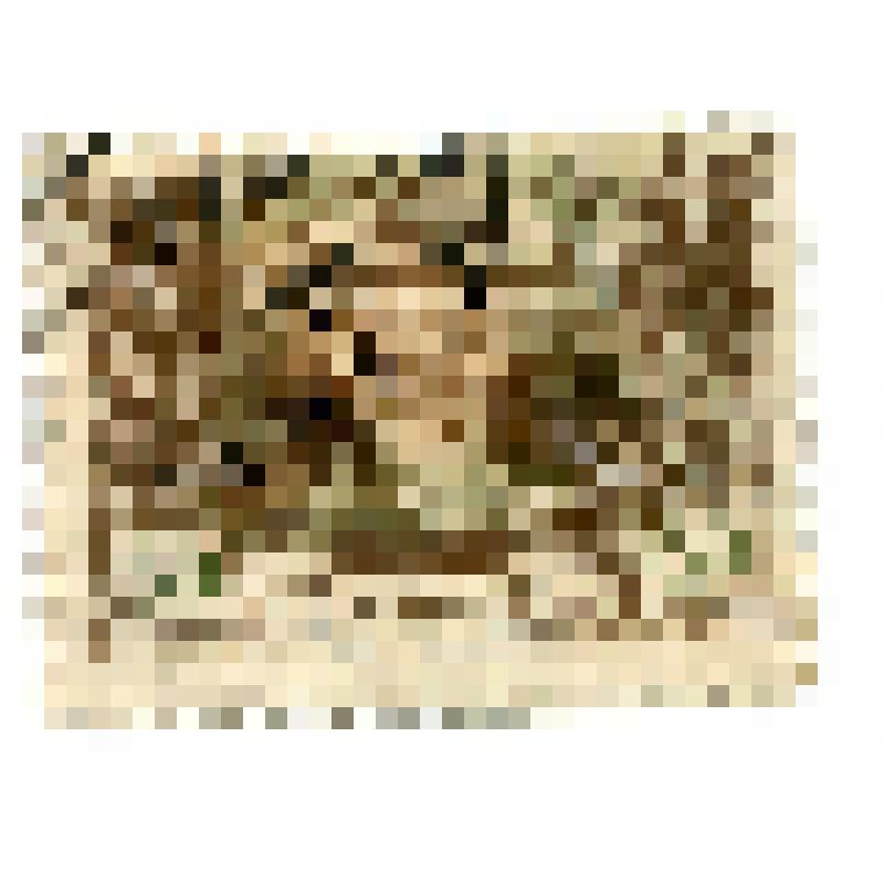 Почтовая марка 60 к. Инжинеры-авиаконструкторы