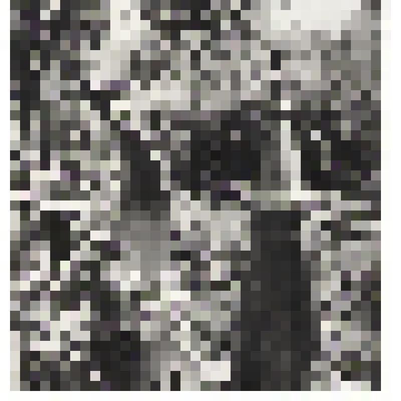 Фотография "Памятник радистам-связистам М. Х. Есенову и Ф. Е. Лютову, погибшим в июне 1941 г. в воздушном бою (221 АПБДД)"