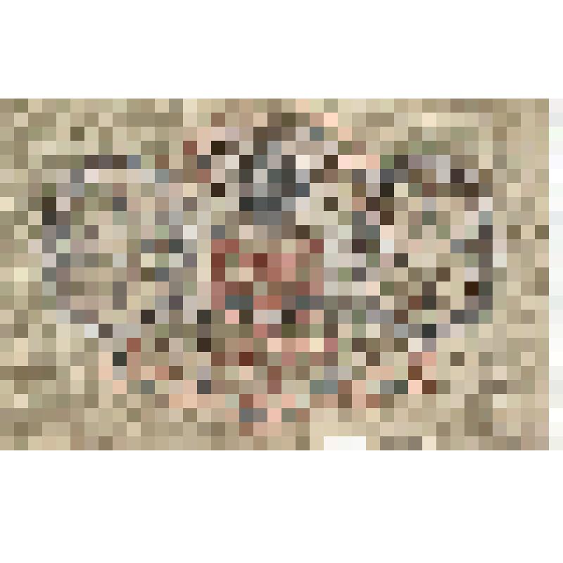 Бона. Государственный кредитный билет. 3 рубля. 1905 г. ЭЬ 921196