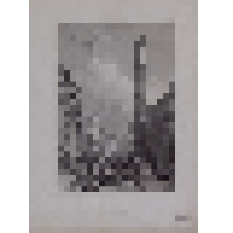 VICENZA, the Piazza dei Signori and Ragione Palace