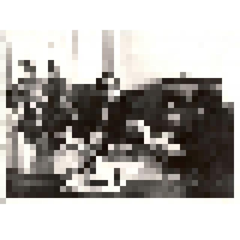 Фото: на снимке А.П. Петров композитор беседует с директором детской музыкальной школы № 12 Михальченко М.С