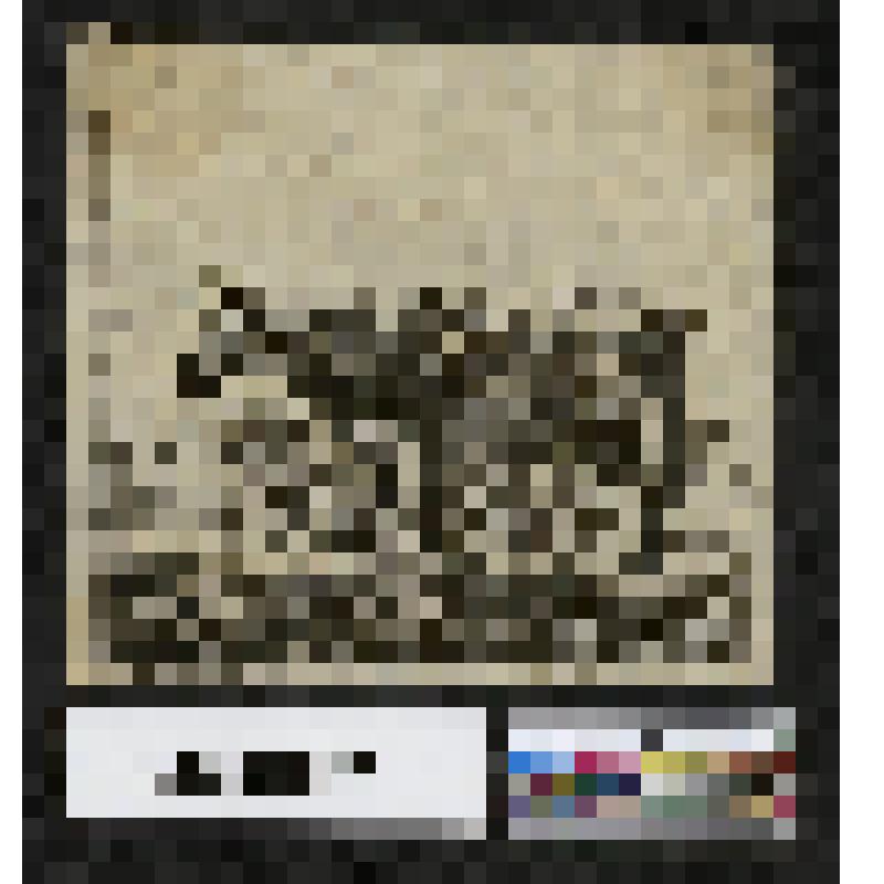 Две коровы на берегу моря