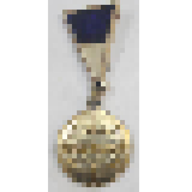 Значок «Карпаты»