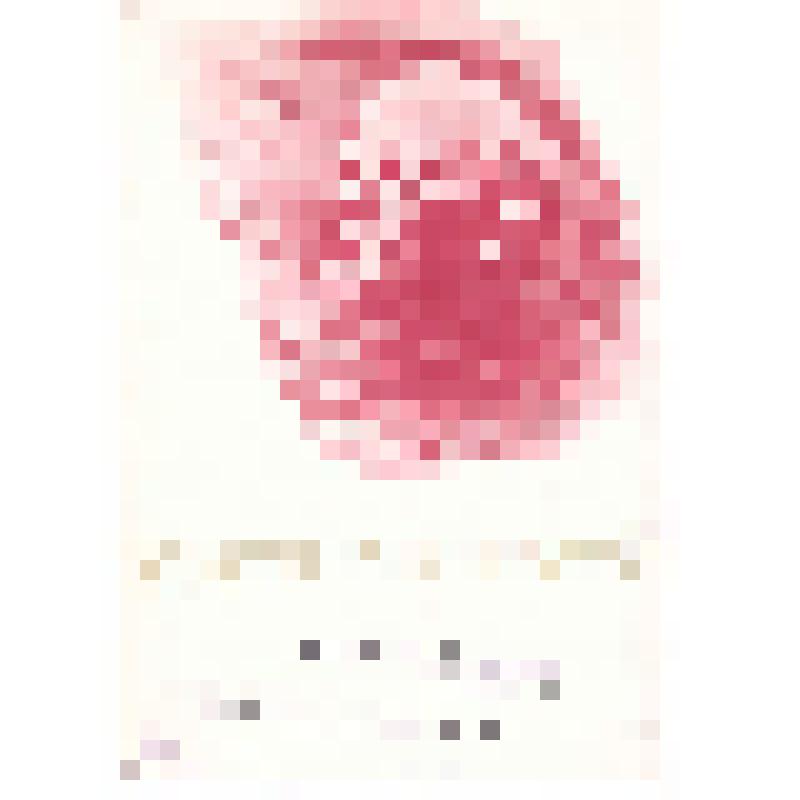 Почетная грамота бригаде Заборского А.А