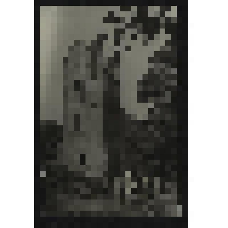 Фотография. Кирха в пос. Владимирово