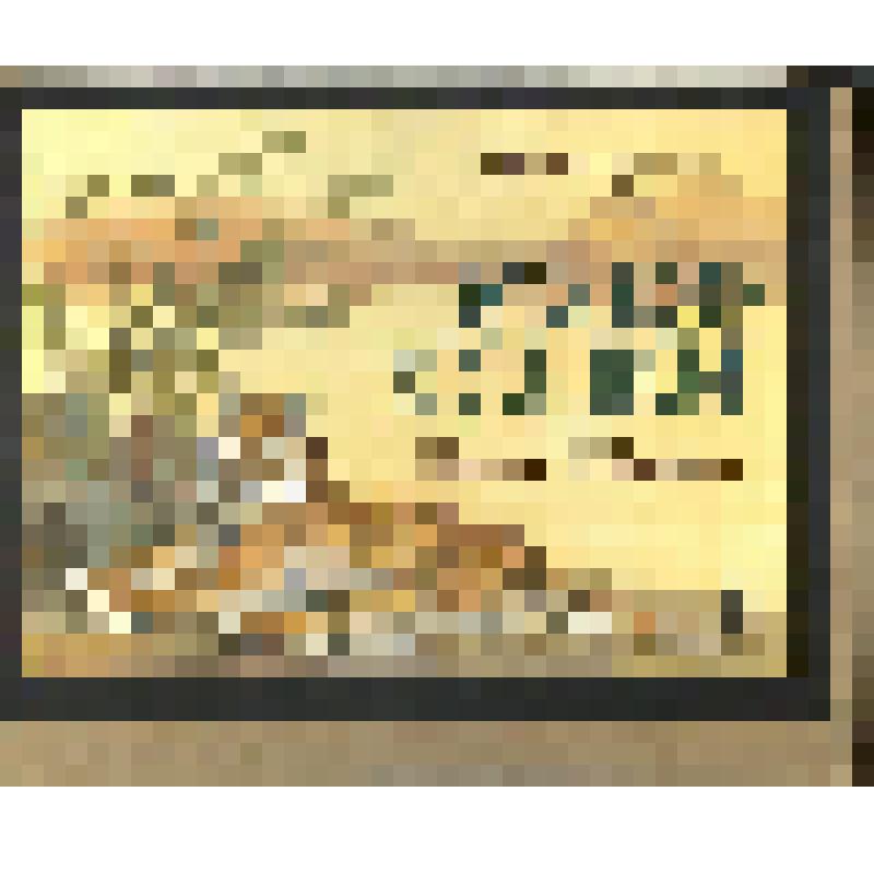 эскиз кадра к макету диафильма. Лист № 2: Это все кошки (заглавный титр)
Фильм: Это все - кошки. 1983