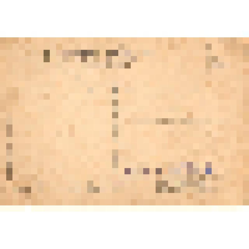 Карточка почтовая «Вступление Красной гвардии в Московский Кремль»