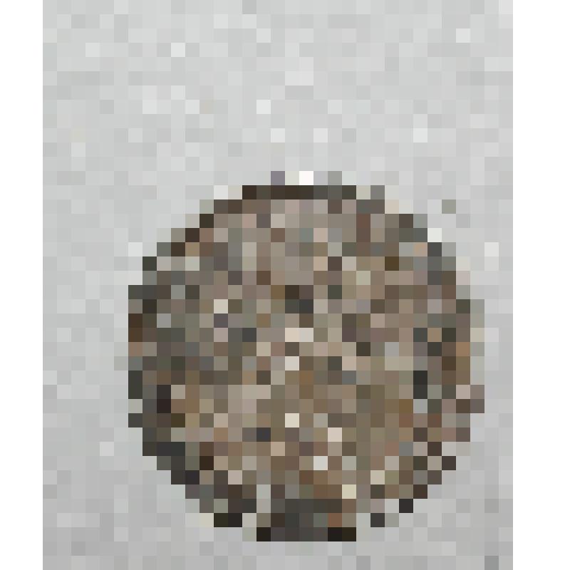 Монета. 10 копеек