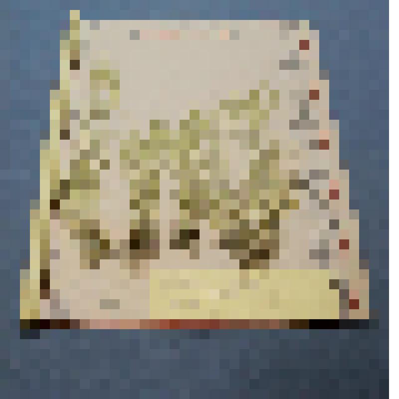 Ботаническая коллекция. Мятлик луговой, семейство злаковых, на гербарном листе, окрестности г.Абакана