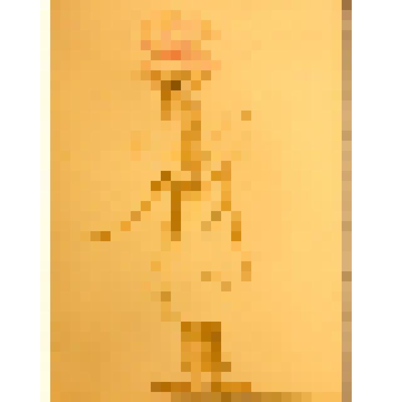 Эскиз куклы. "Фанка". Театр кукол. "Разбойник". Кострома