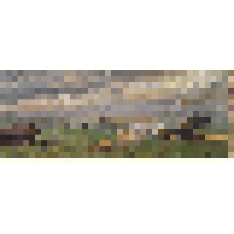 Колхозная электростанция