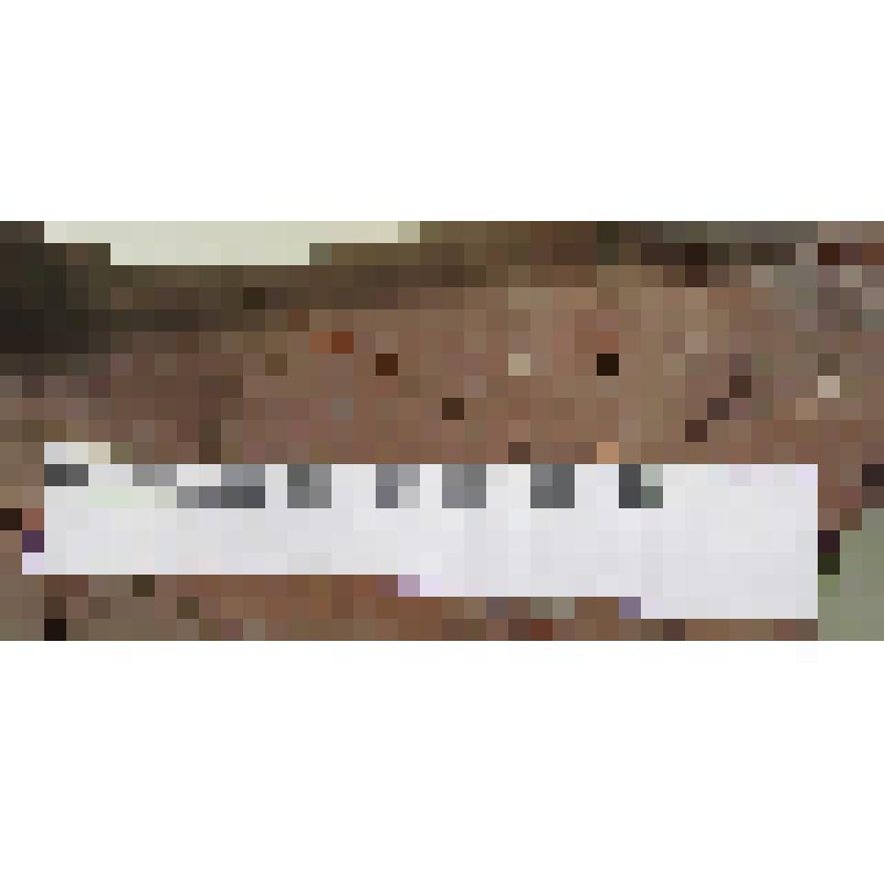 Горла амфоры типа Зеест 80 с граффити