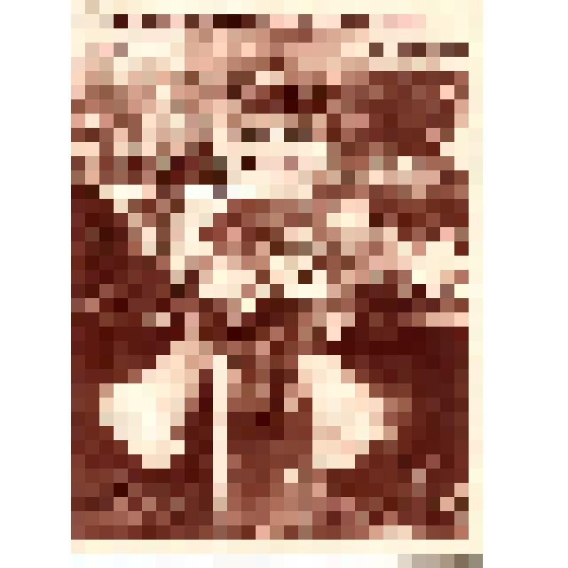 An alle ehrlichen deutschen Manner und Frauen! DEUTSCHER FLIEGER! (на нем. яз., двусторонняя)