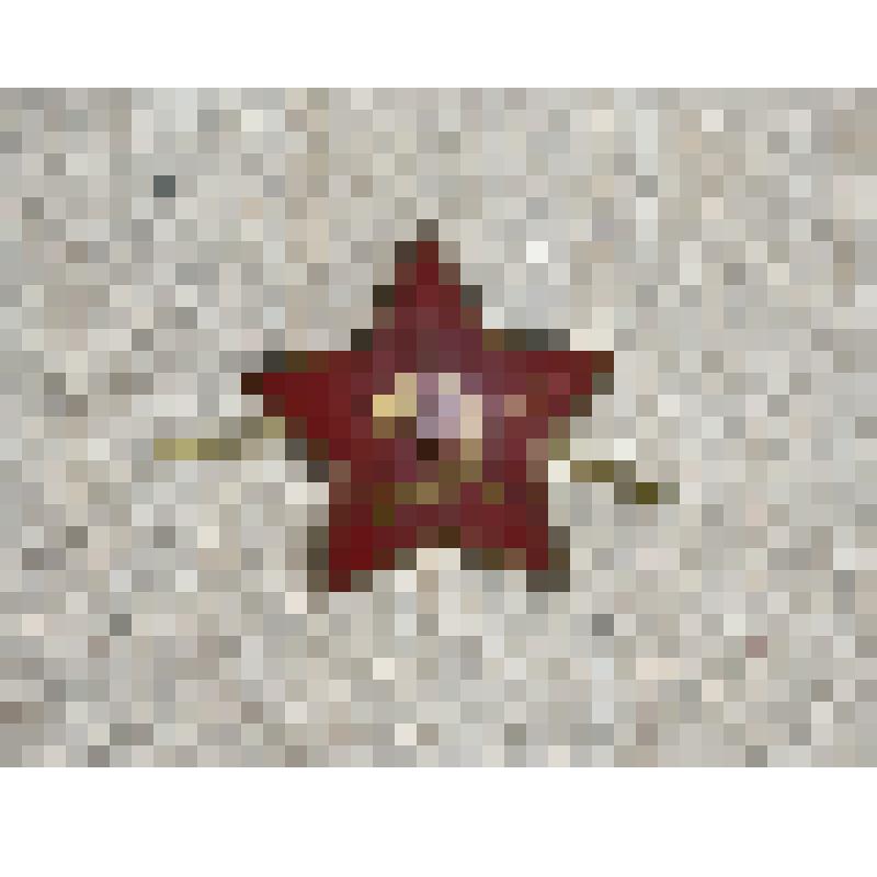 Звездочка с пилотки (фуражки)