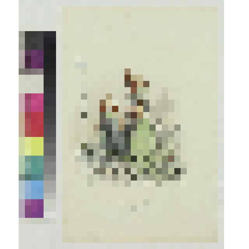 Настурции. Лист из альбома "Цветы", гравюра