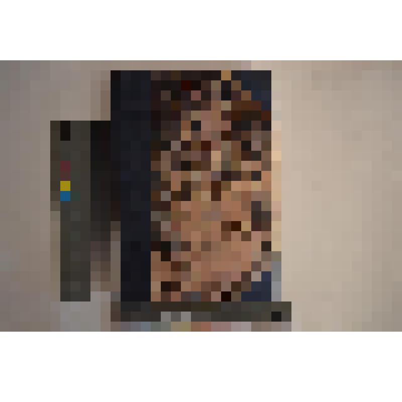 Книга. Энциклопедический словарь Русского библиографического института Гранат. 11-е стереотипное издание до 33 тома под ред. проф. Ю.  С. Гамбарова, проф. В. Я. Железнова, проф. М. М. Ковалевского, проф. С. А. Муромцева и проф. К. А. Тимирязева. Том 4: Ар