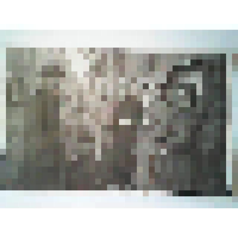 Фотография советских людей, угнанных на работу в Германию и освобожденных весной 1945