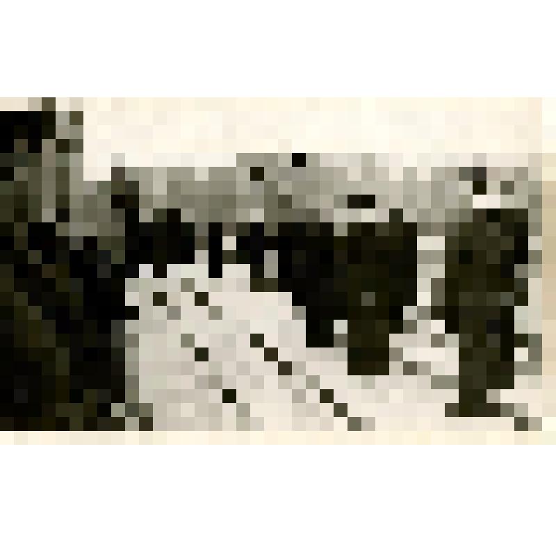 Командующий 4-й эскадры ПЛ СФ контр-адмирал Баранов Николай Михайлович(справа) приветствует экипаж ПЛ Б-95,вернувшейся с несения боевой службы