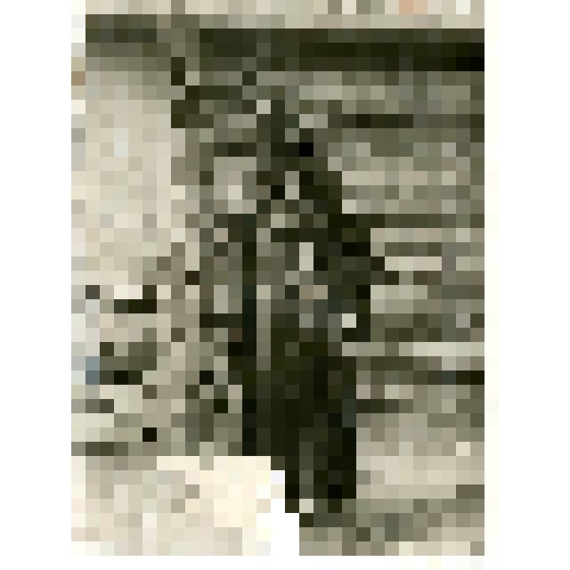 Фотография. Якутка в зимней одежде и шапке «дьабака»