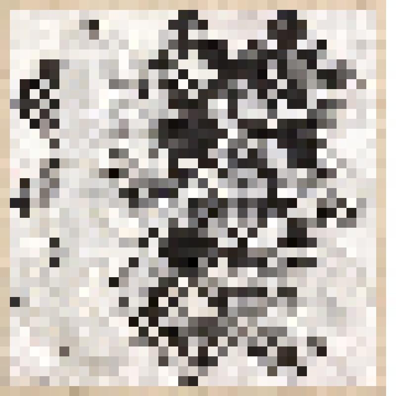 Зарисовка фрагмента накидки. Из альбома зарисовок «Вышивка Горьковской области». Часть 1