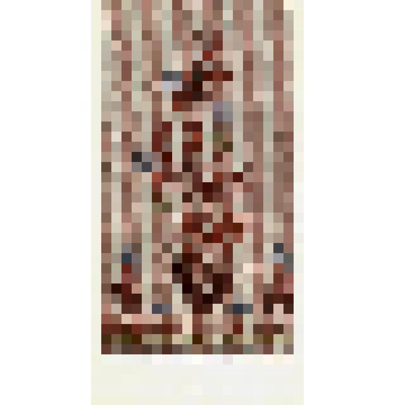 Таблица-зашивка в характере русской народной вышивки центральных областей (Владимирская обл.). Из альбома зашивок "Сочетание традиционной вышивки и кружева с тканями различных структур, гладкокрашенными, пёстроткаными, набивными и новыми отделочными матер