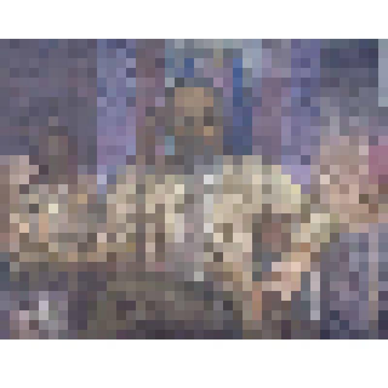 Картина «Портрет Ю.Н.Рериха»