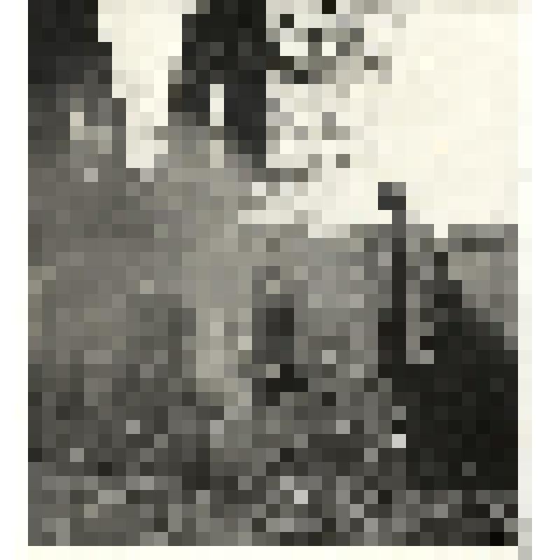 Фотография. М.А. Шолохов на отдыхе