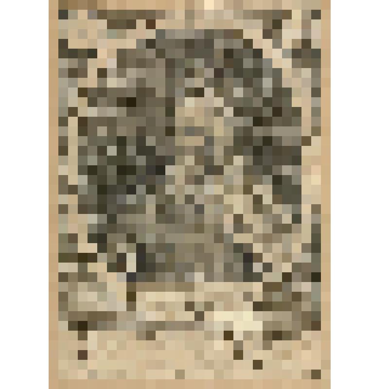 Рудольф I (1218 — 1291) — король Германии, фонд западноевропейского  гравированного портрета
