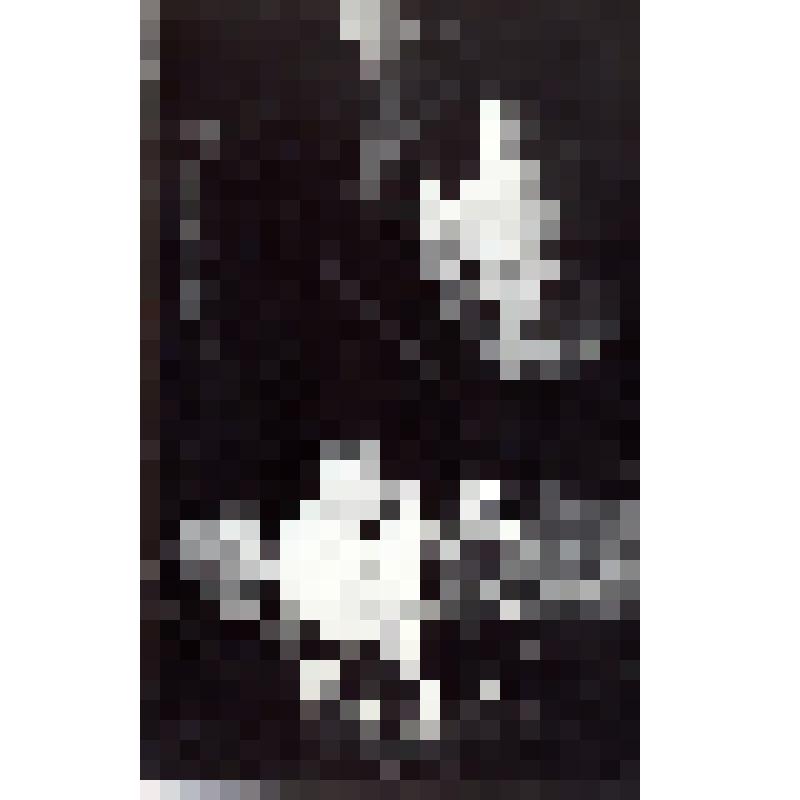 Фото сюжетное. Сцена из спектакля Омского государственного драматического театра "На дне". На переднем плане артист А. Сафронов в роли Медведева и актриса Е. Аросева в роли Квашни