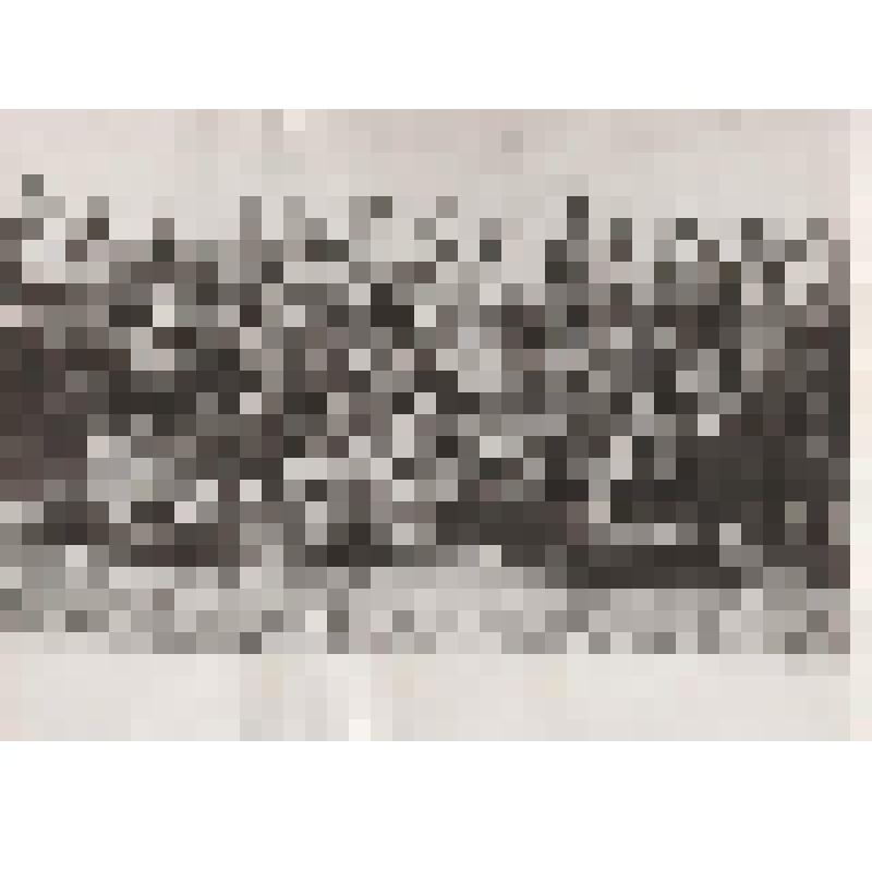 Фотография. Двойнишников Николай Григорьевич