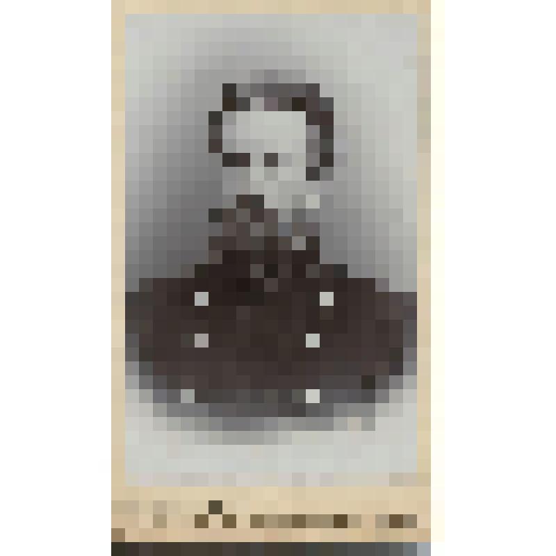 Александр Михайлович Соболев, сын М.И. Соболева. На фирменном бланке, формат "визит-портрет". Фотография