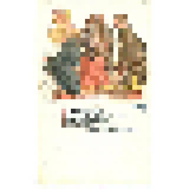 Открытка художественная оригинальная с иллюстрации художника А.Ф.Афанасьева по сказке П.Ершова "Конек-Горбунок", N 14