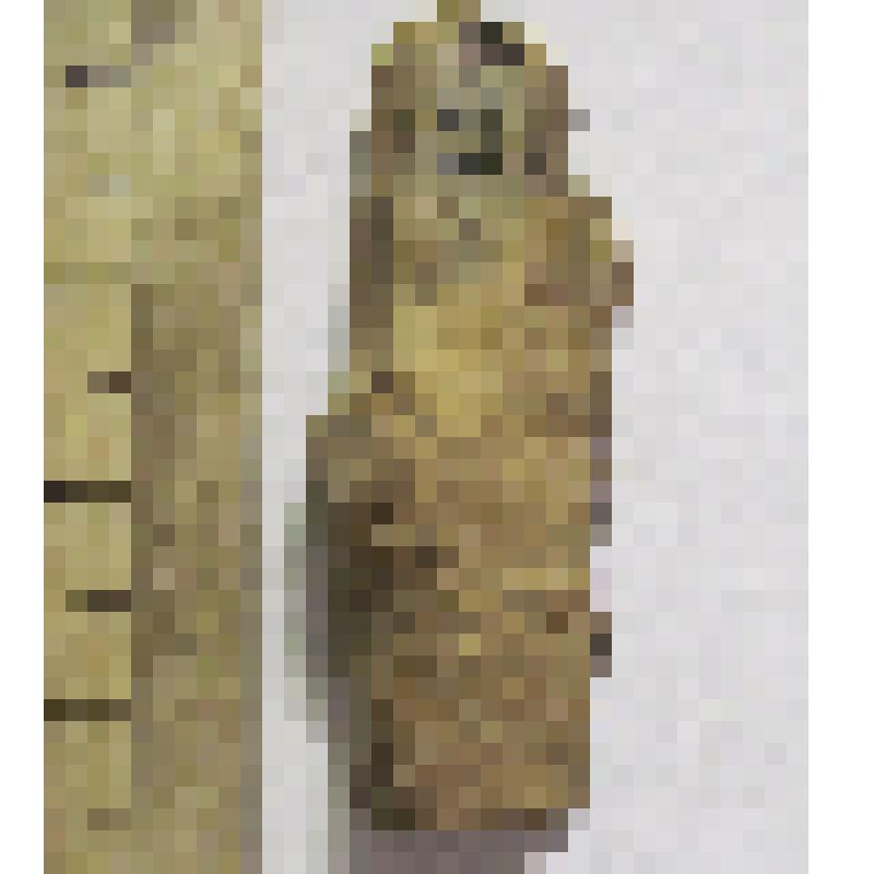 Кремневая стружка