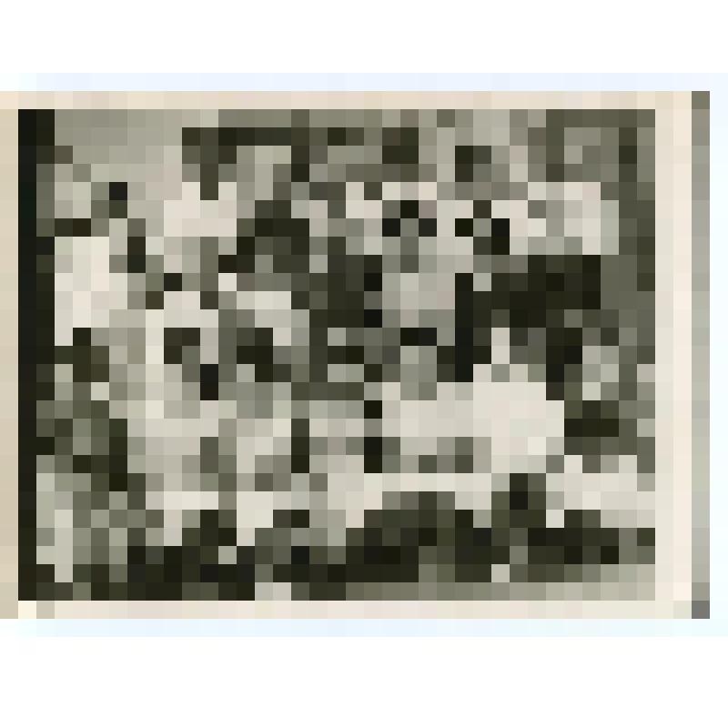 Фото групповое. Выпускной класс Шаховской вечерней средней школы