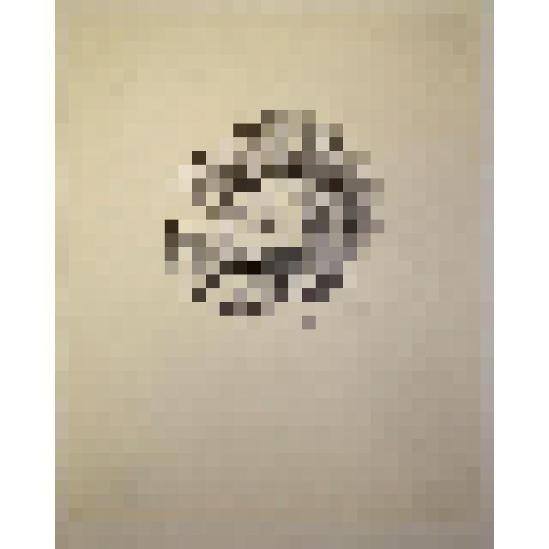 Иллюстрация к произведению Р. Гамзатова "Сонет"