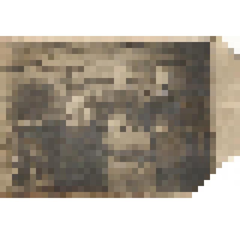 Фотография групповая "Семья Рочевых из села Краснобор Ижемского района 1927 год"