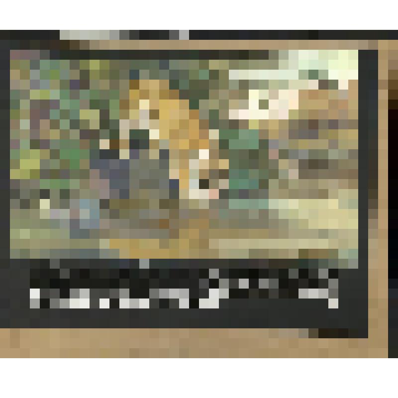 эскиз кадра к макету диафильма. Лист №14: Тигр
Фильм: Это все - кошки. 1983